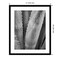 Abstract Agave I by Elizabeth Urquhart Wood Framed Wall Art Print